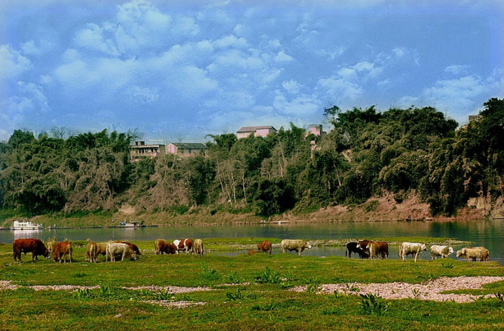 安居國家濕地公園.png